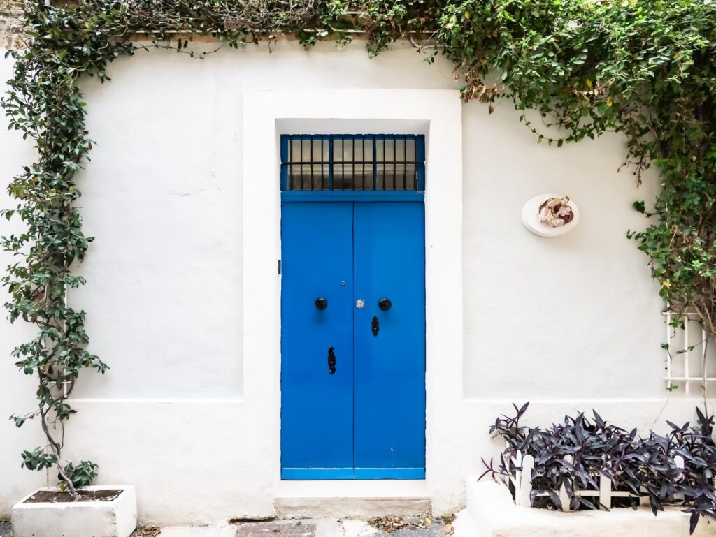 Bright blue double front door set in a white wall with climbing plants